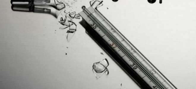 Как и куда утилизировать градусник. Что делать, если разбился градусник